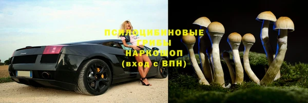 таблы Алексеевка