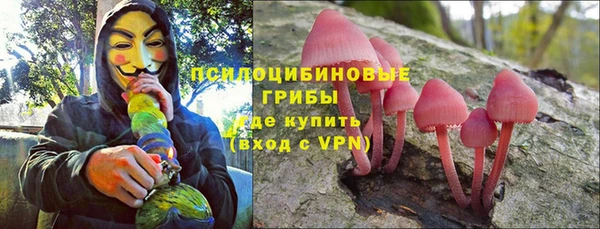 стафф Алзамай