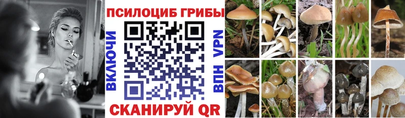 мориарти как зайти  Лагань  Галлюциногенные грибы Magic Shrooms 